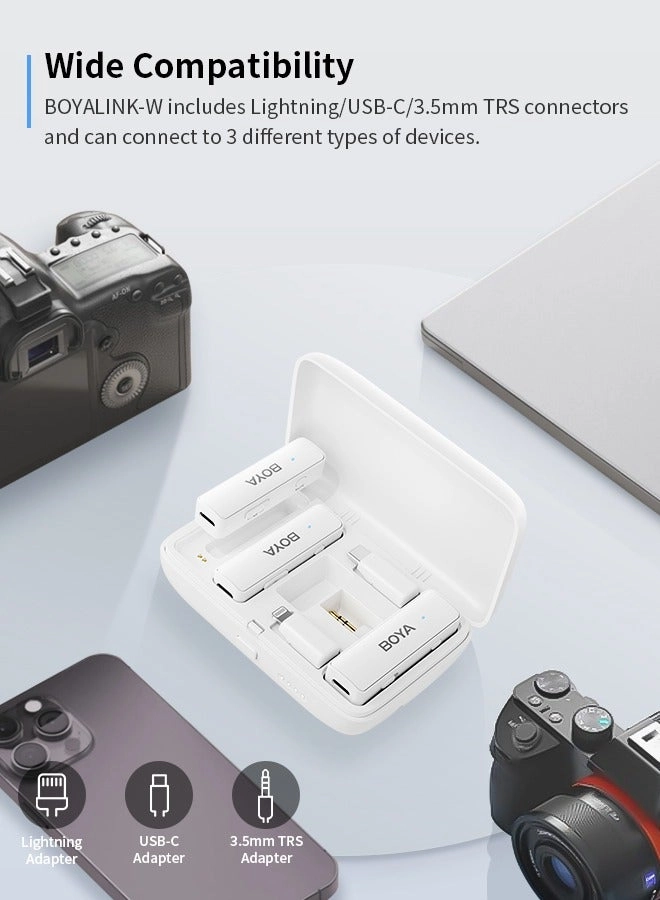 mini-15 Wireless Microphone