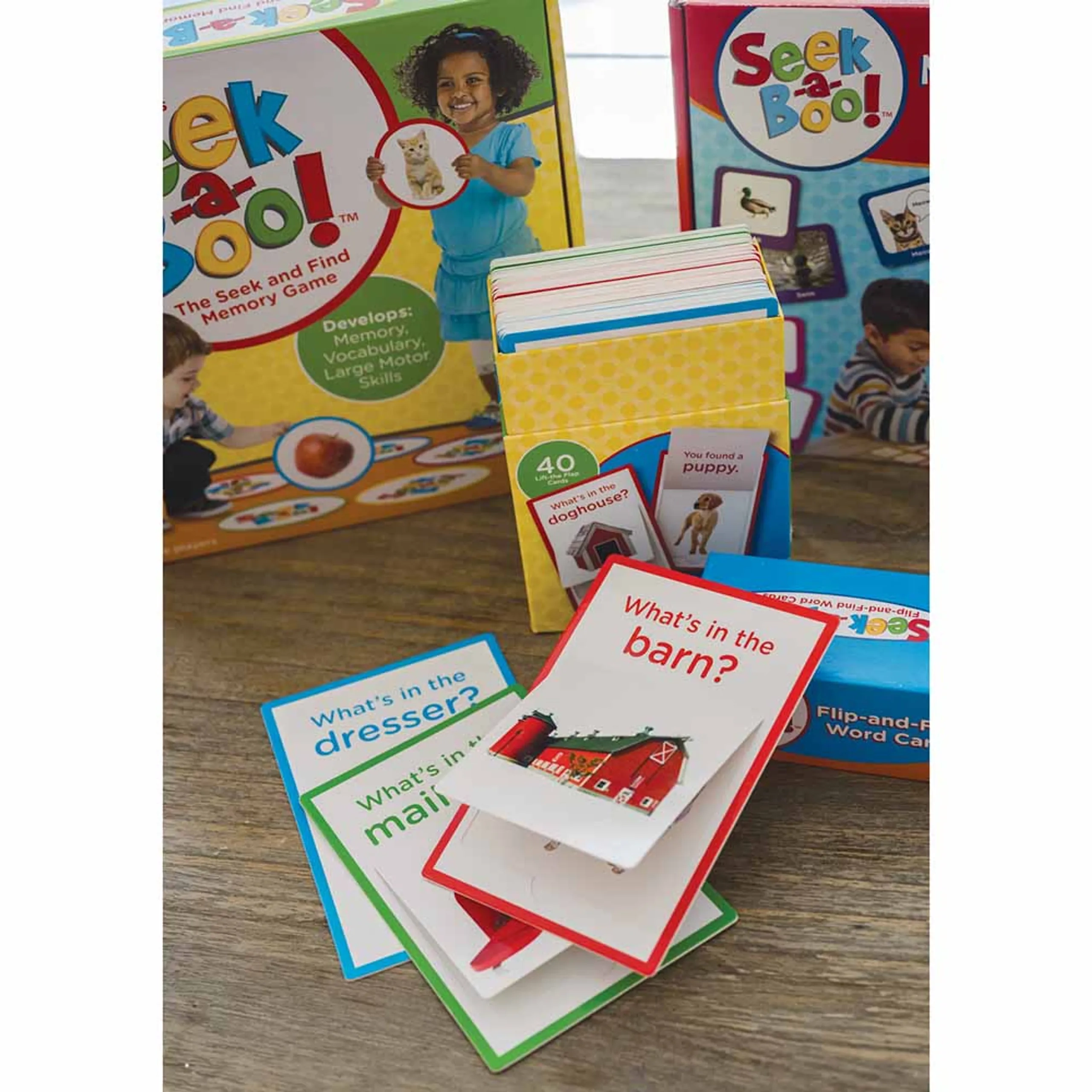 Seek A Boo!: Flip-And-Find Word Cards - 3 +