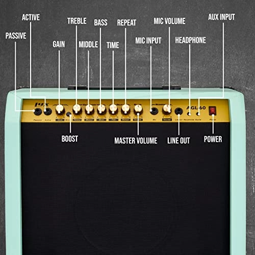 Electric Guitar Amplifier - 60W 10" 4-Ohm Speaker