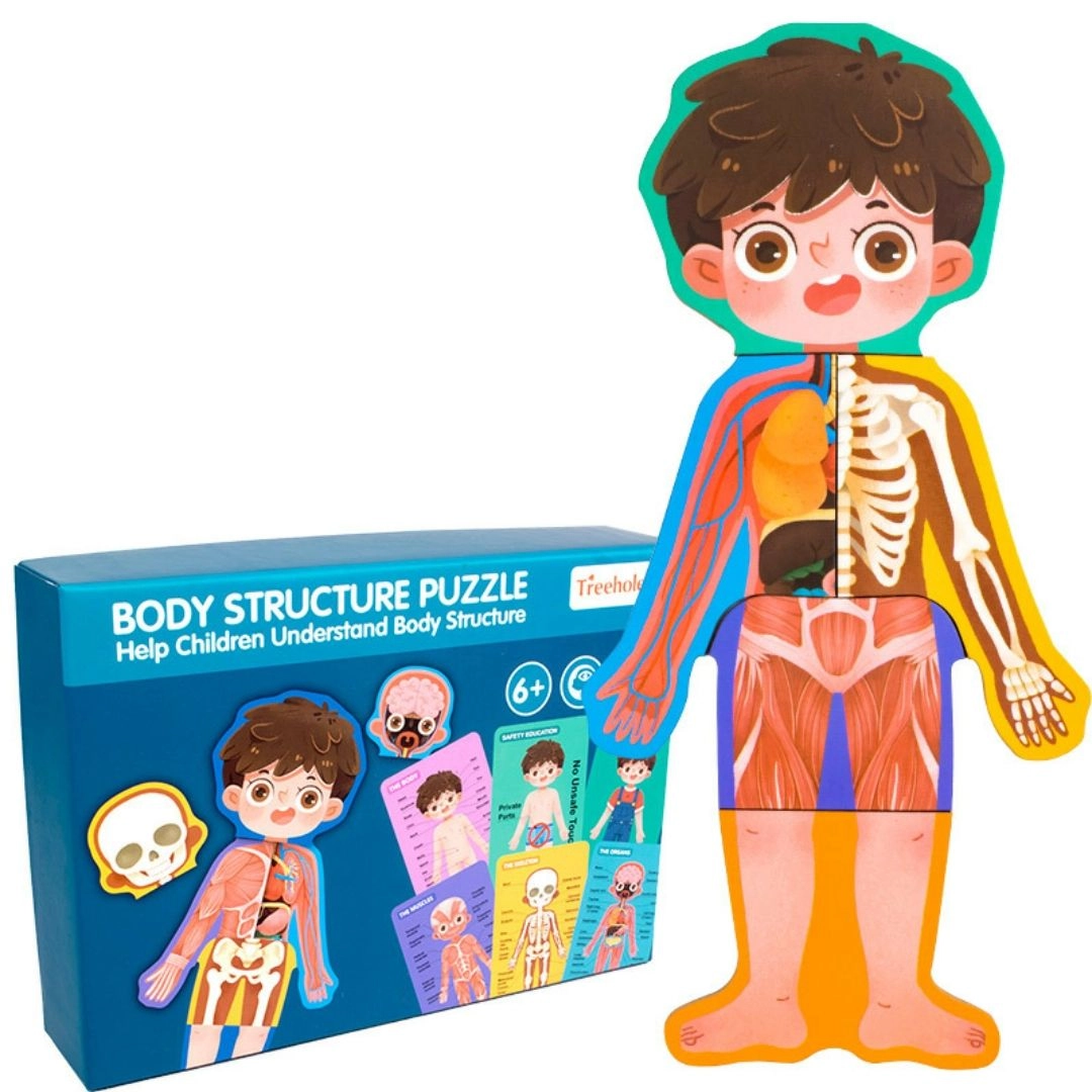 Treehole Body Structure Puzzle - 3 +