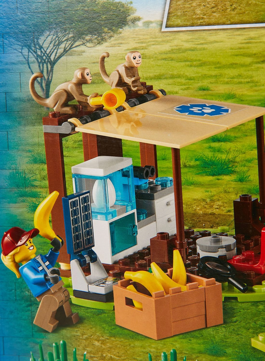 City Wildlife Rescue Operation (60302)