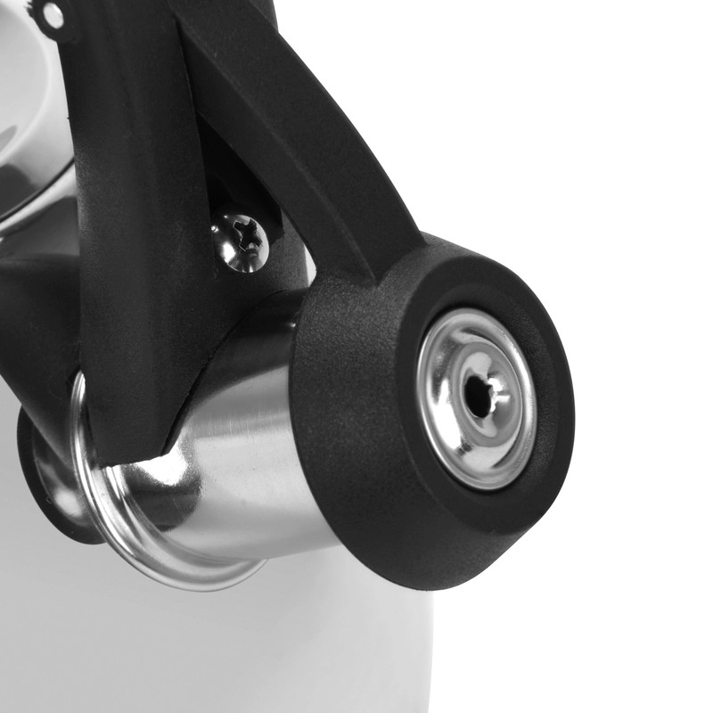 Aquarius Whistling Kettle - 2.5 L