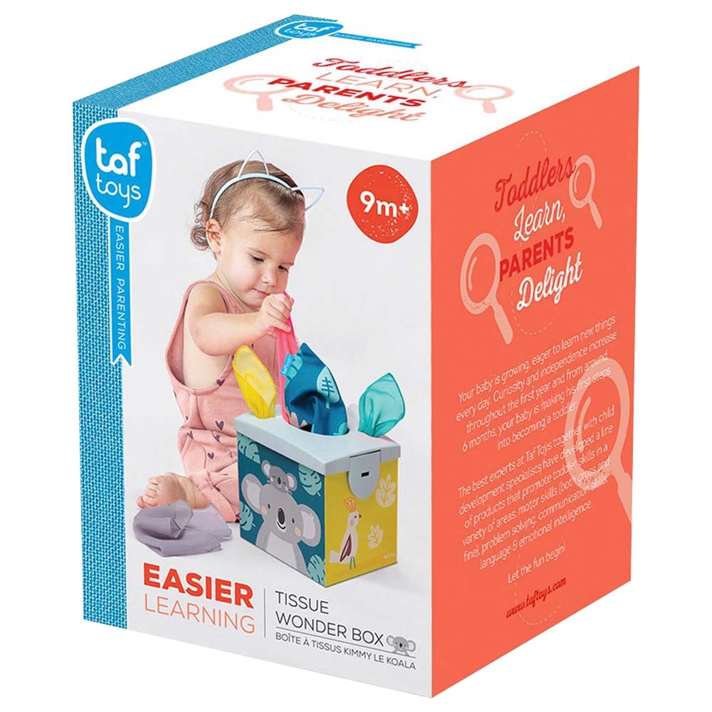 Kimmy Koala Wonder Tissue Box - 9 months