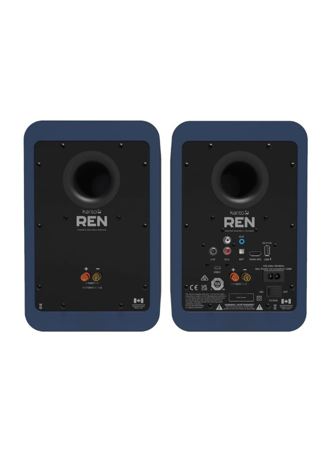 REN - 100 W Total RMS
