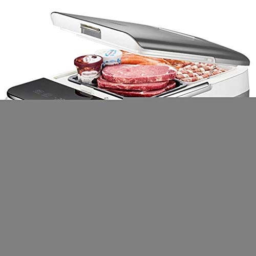 Portable Compressor Refrigerator - 12V/24V Outdoor