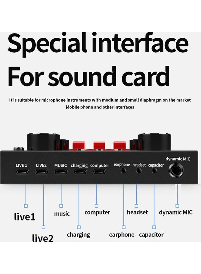 BM-800 + Live Sound Card Wired Microphone