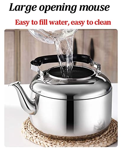 Stovetop Induction Whistling Kettle - 5L