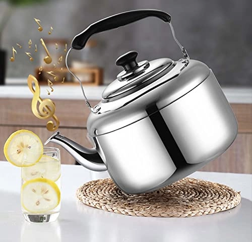 Stovetop Induction Whistling Kettle - 5L