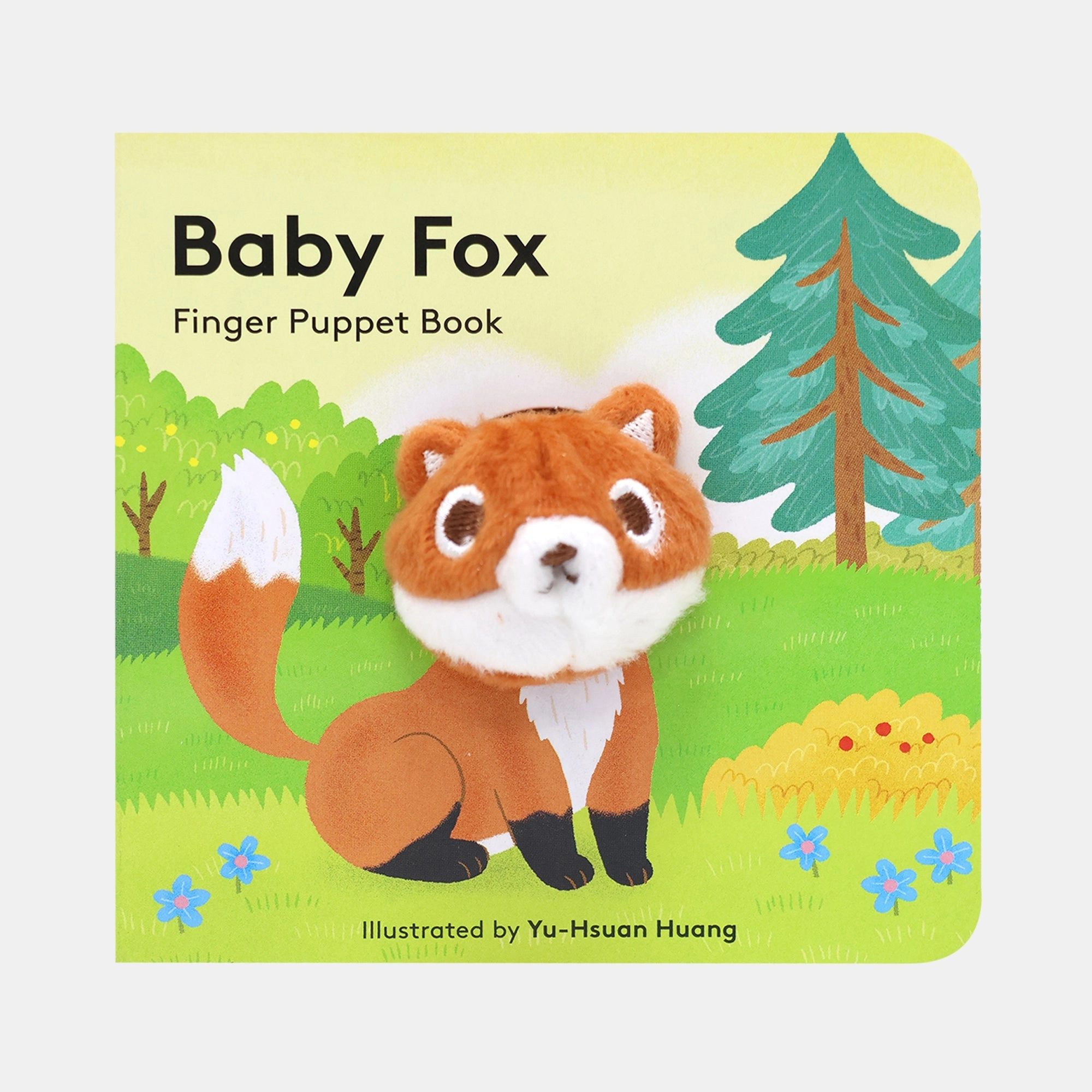 Baby Fox