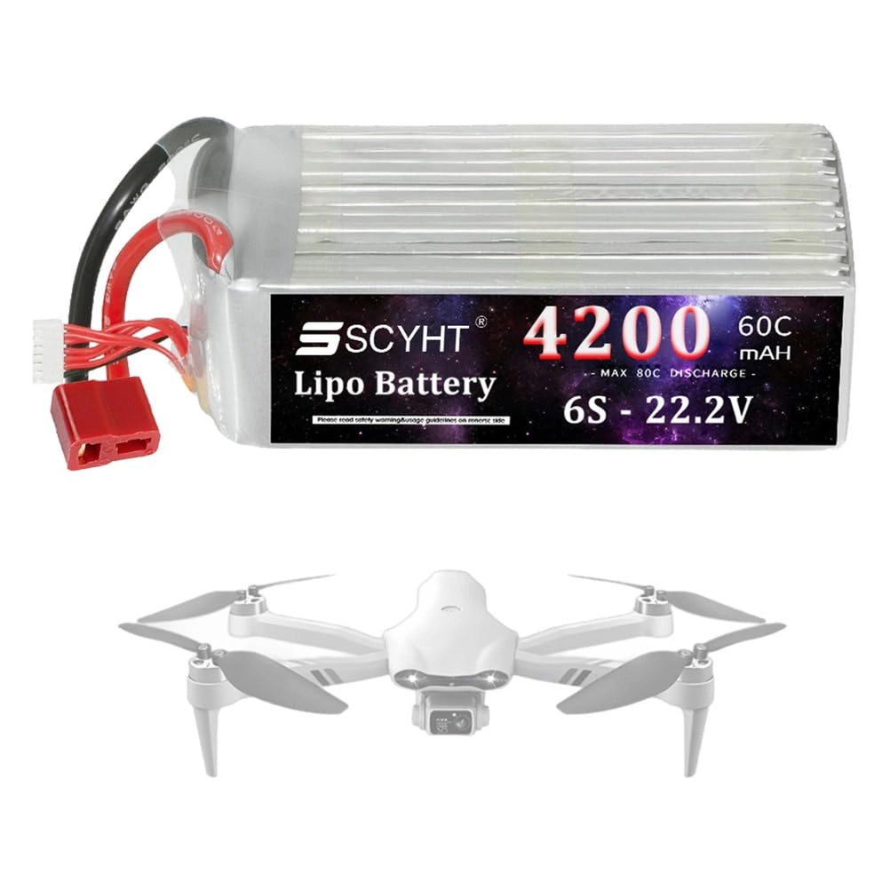 Lipo Battery - 6000mAh