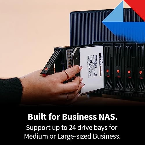 N300 PRO 24-Bay 12TB