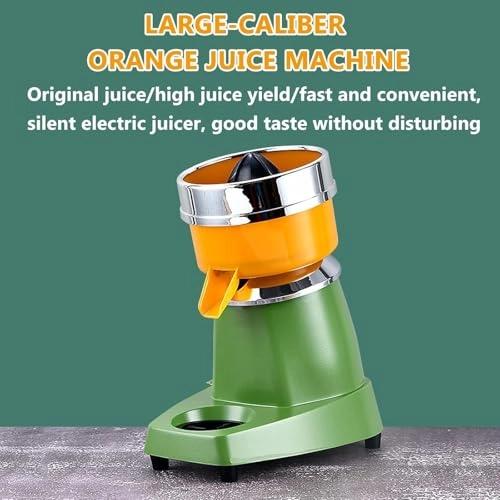 Electric Juicer - 250W