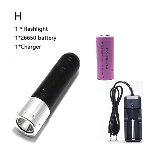 Professional Submersible Light - 4000 Lumens IPX8