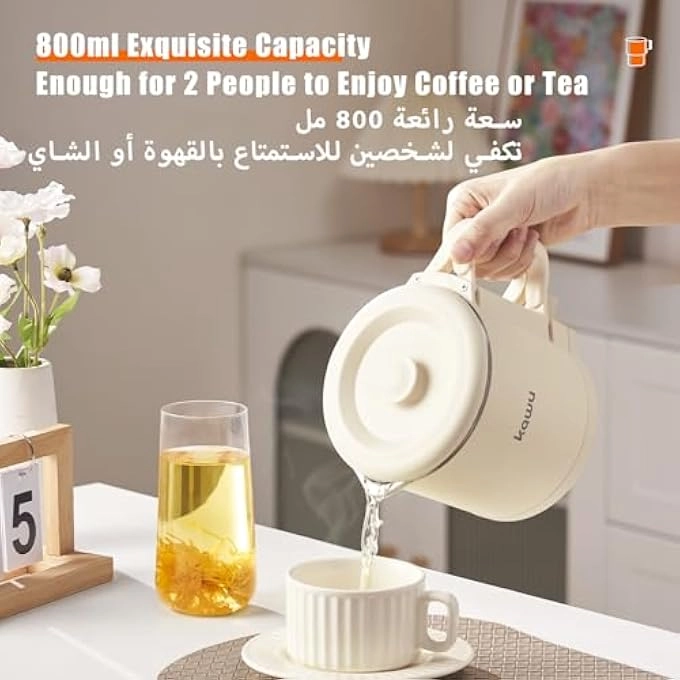 Small Electric Kettle 2401