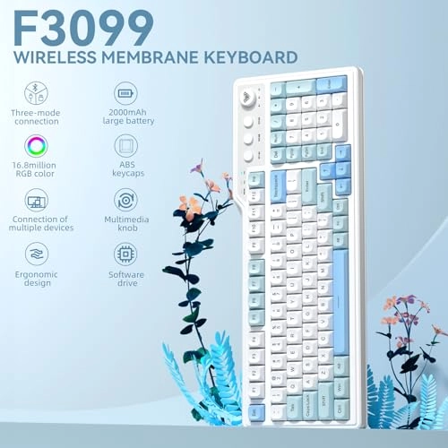 F3099 - Wired/Wireless