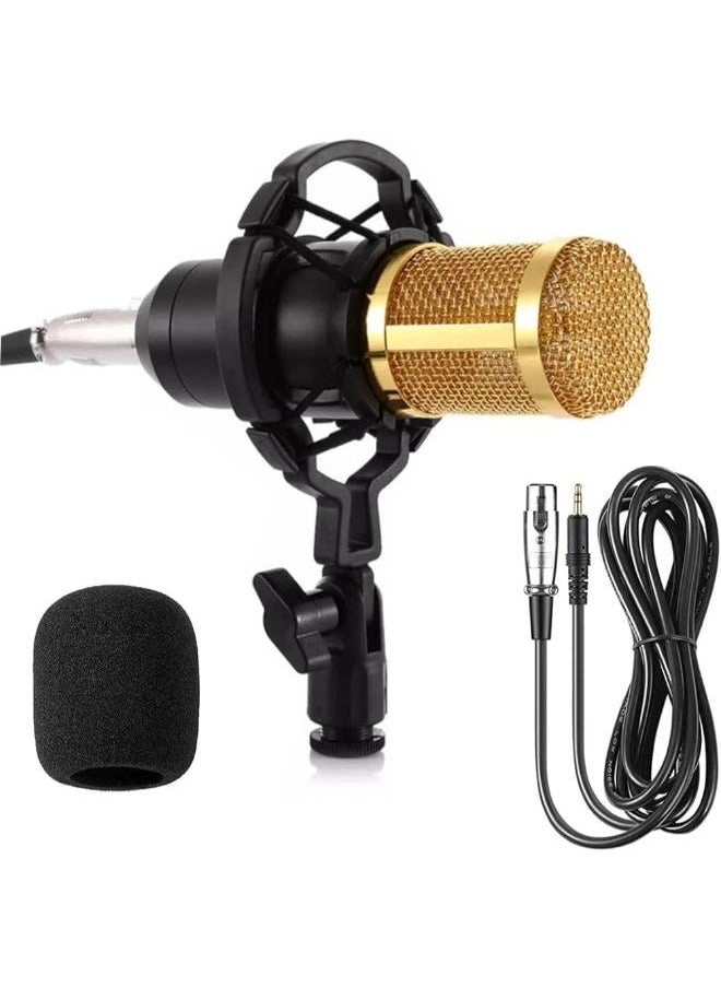 Easy Life Uni-Directional Condenser - 3.5mm-Mini-Jack Microphone
