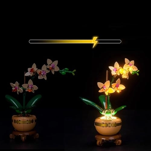 LED Light kit - for Lego 10343 Fortune Bamboo Model Classic