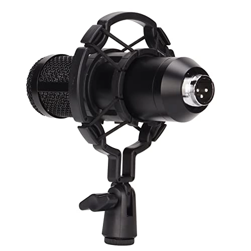 BM800 XLR Microphone