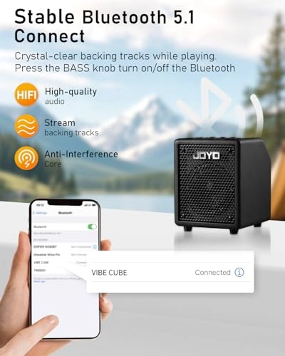 BA-30 - 30W 4" Speaker Bluetooth 5.1