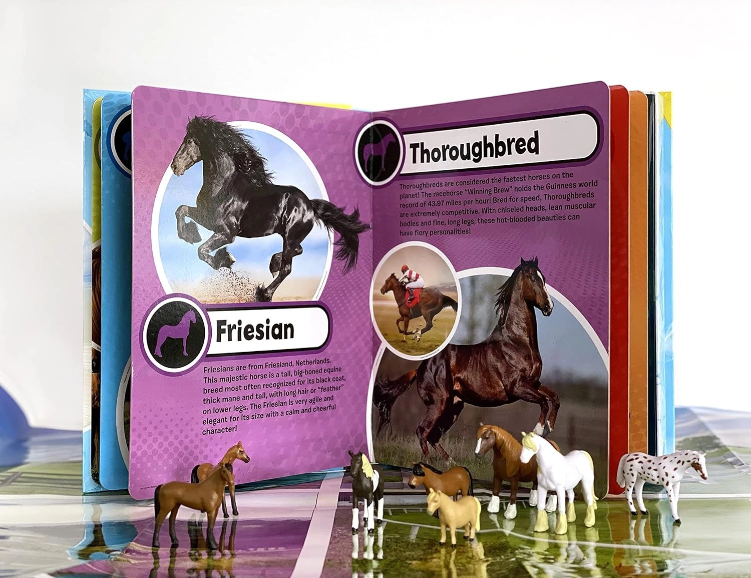 World of Horses My Busy Books - 3 + 10 pieces