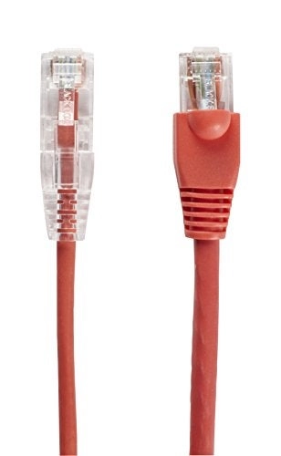 Network Services - 1Ft