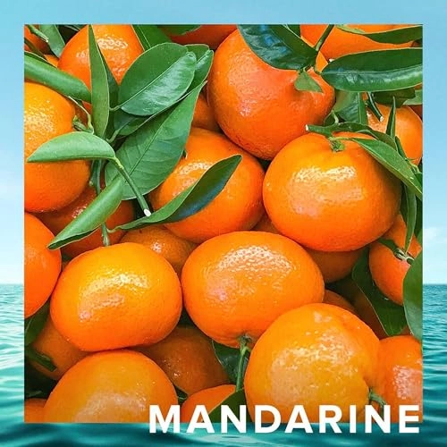 CR7 Origins Eau de Toilette 100 ml