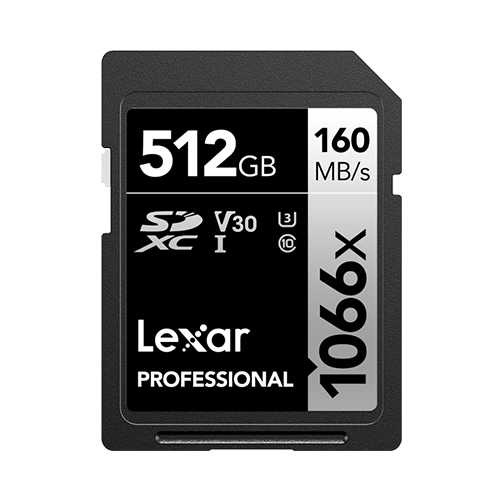 Professional - 512GB