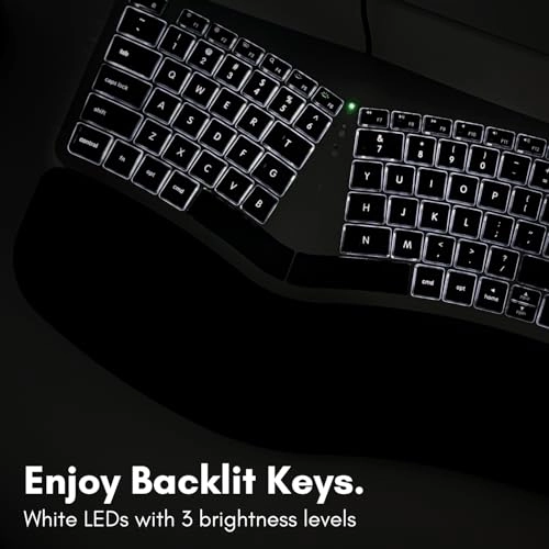 BLERGO2SG - MacOS Wired