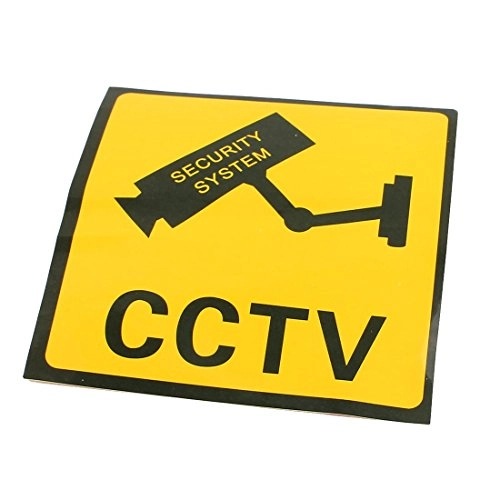 Realistic Looking Security Camera - indoors and outdoors