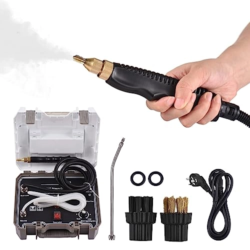 Handheld Steam Cleaner