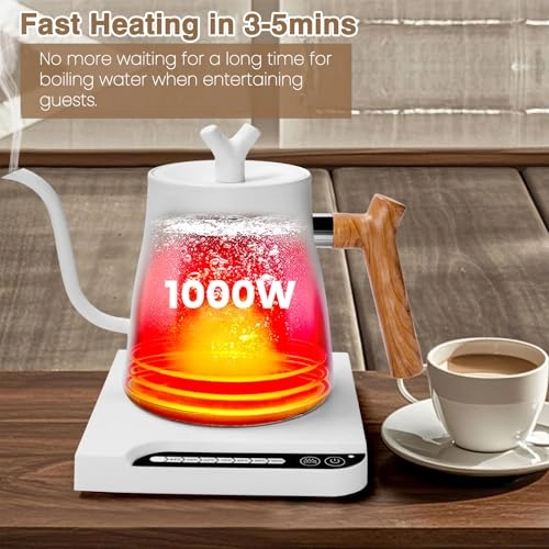 Gooseneck Electric Kettle