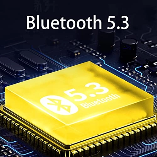 True Wireless Earbuds