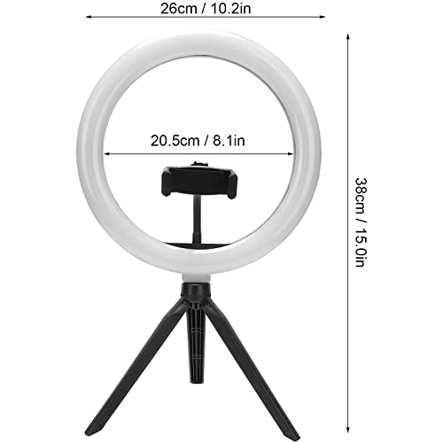 LED Ring Fill Light - 10 inch