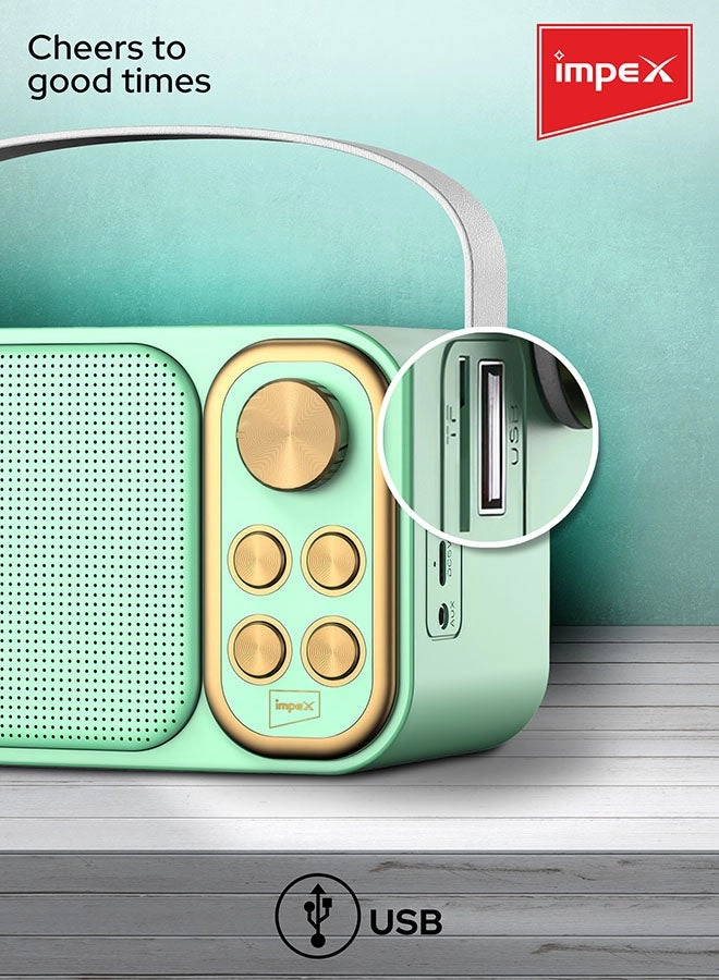 KM 1302 - 2 Wireless Mic 10W