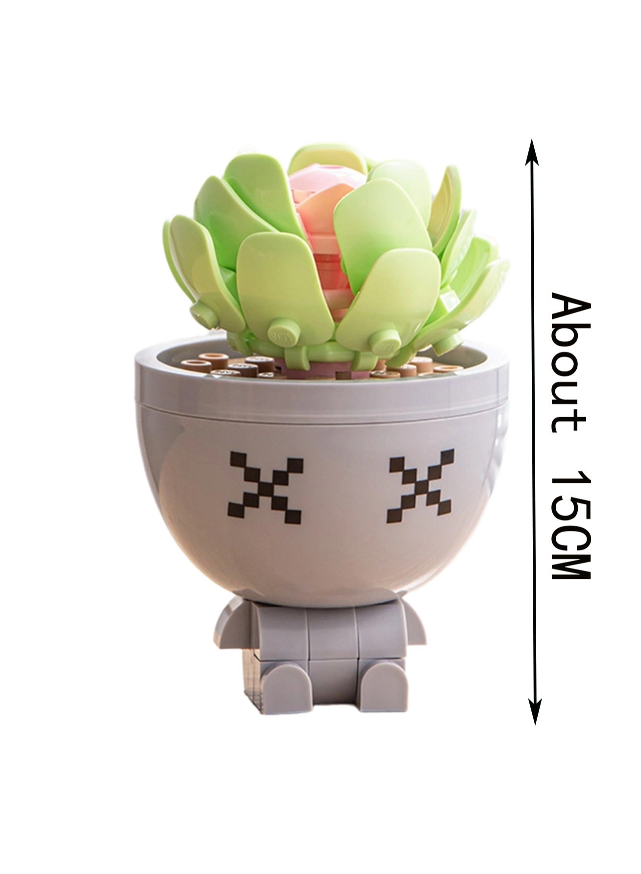 Succulent Purple Mist