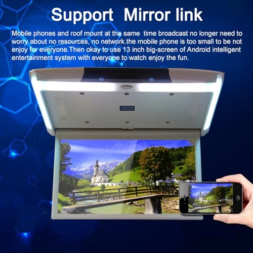 Car ceiling display - 11.6-inch