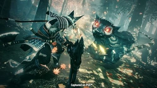 The Nioh Collection Nordic - PlayStation 5