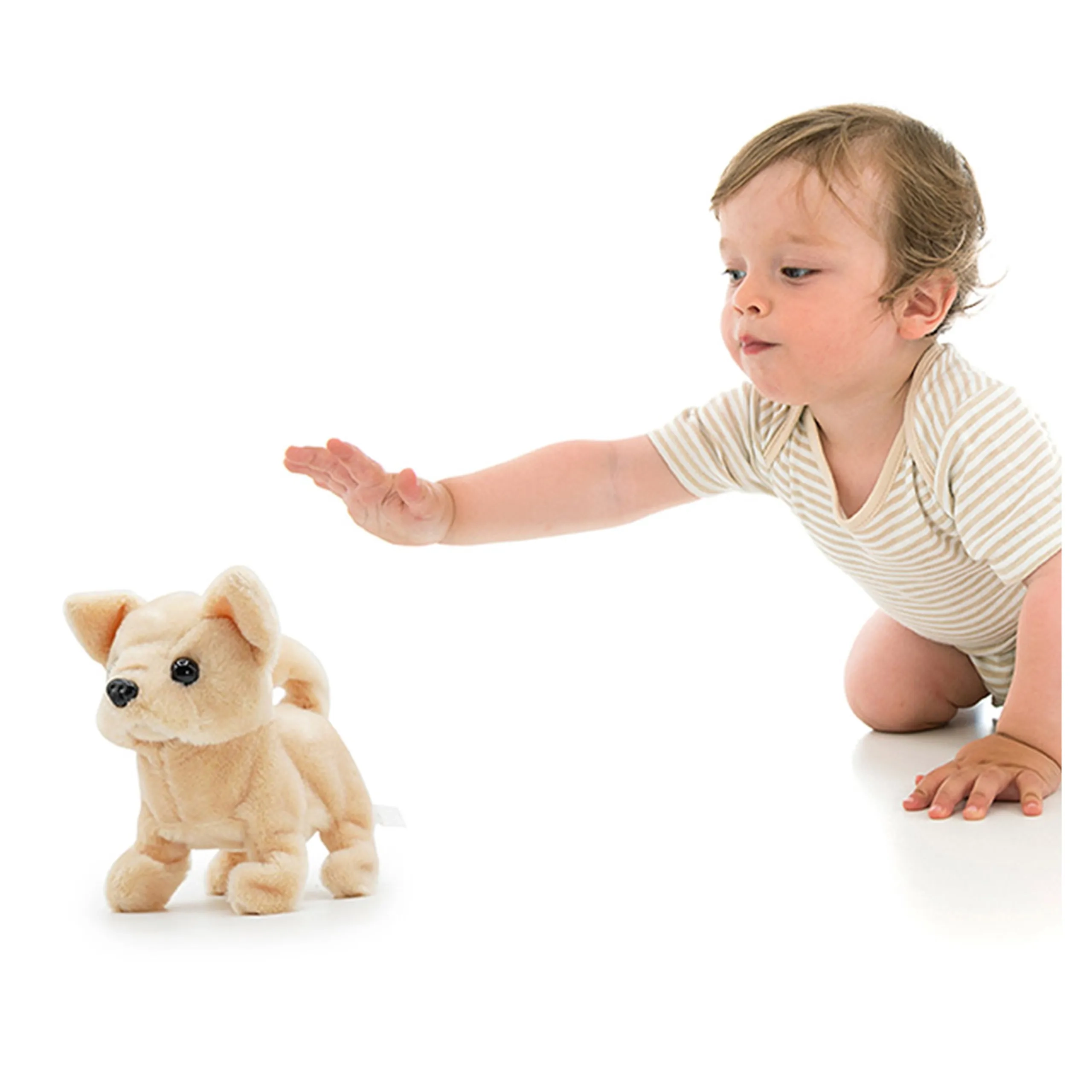 Buddy - 6.5-Inch