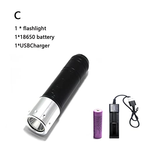 Professional Submersible Light - 4000 Lumens IPX8
