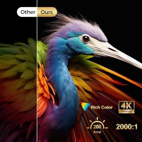 HY 300 RPO+ 200 ANSI lumens 1280 x 720 pixels