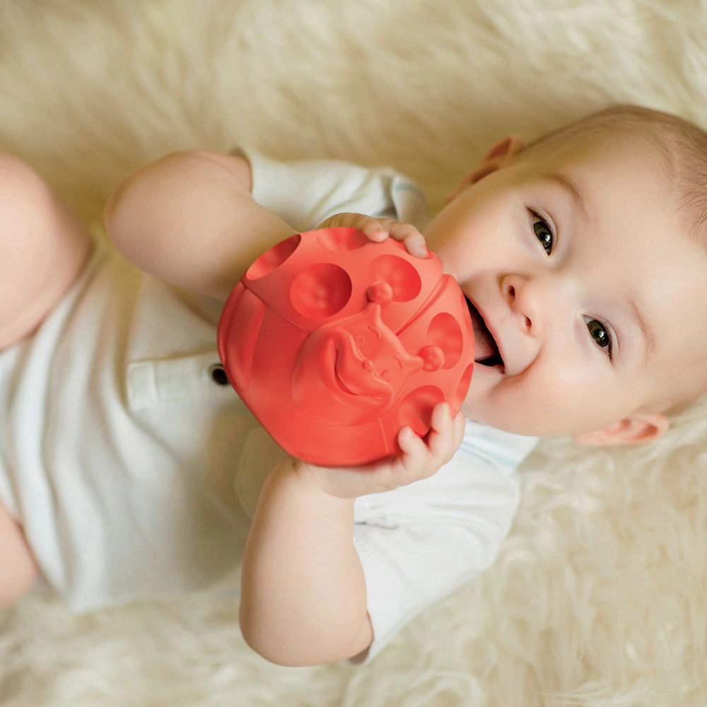 Baby Animal Sensory Balls - 3 Months 5 piece(s)