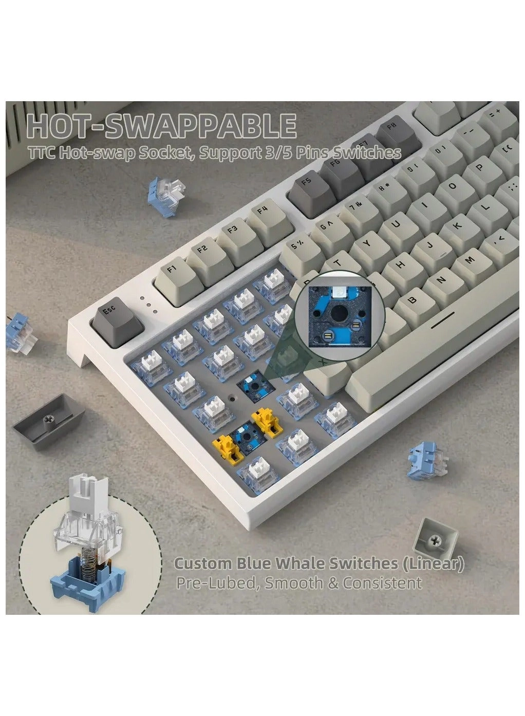 RK86 - ANSI Wireless