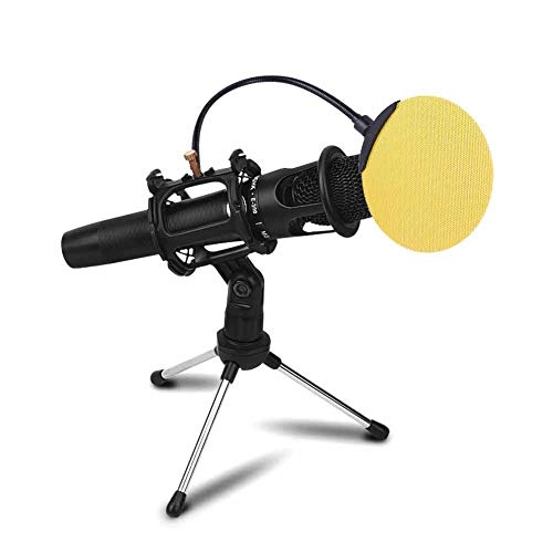 Microphone Stand - Metal Portable