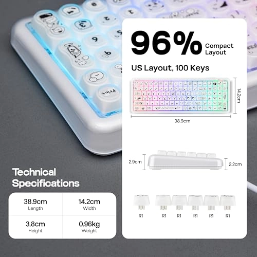 X100 PRO - US Wired/Wireless