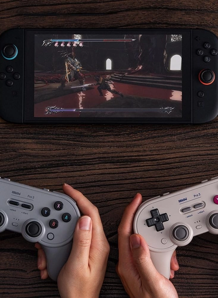 Pro 3 - Gray Switch/Switch 2