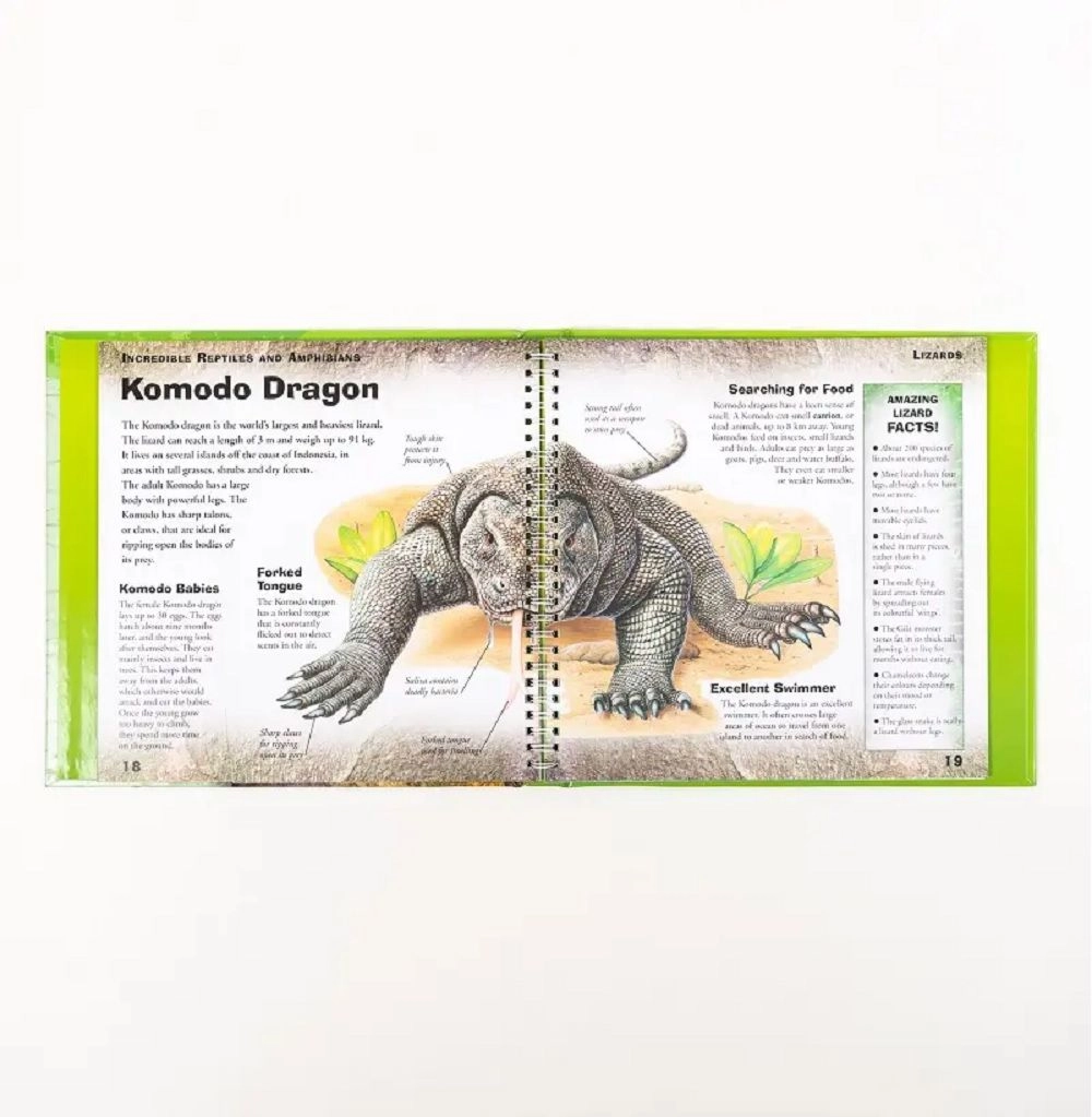 Incredible Reptiles & Amphibians - 6+