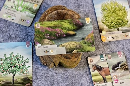 Forest Shuffle: Dartmoor - Card Game