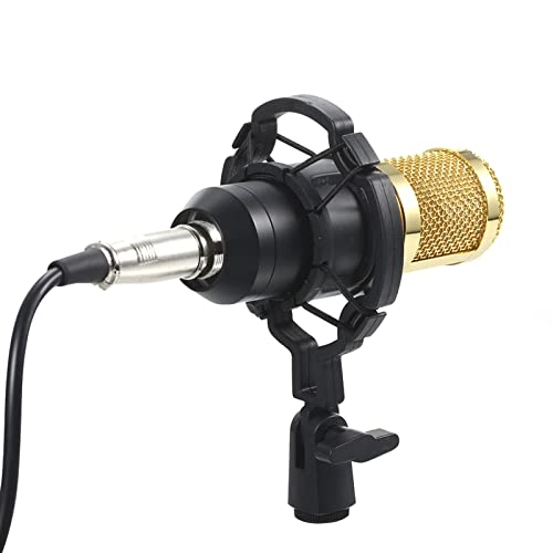 Podcast Recording Microphone Kit USB Microphone
