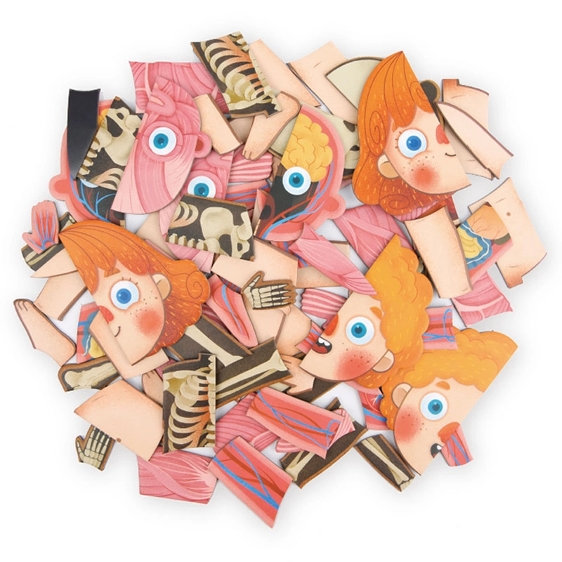 Body Magnetic Puzzle (TOP-CT7013) - 90 pcs