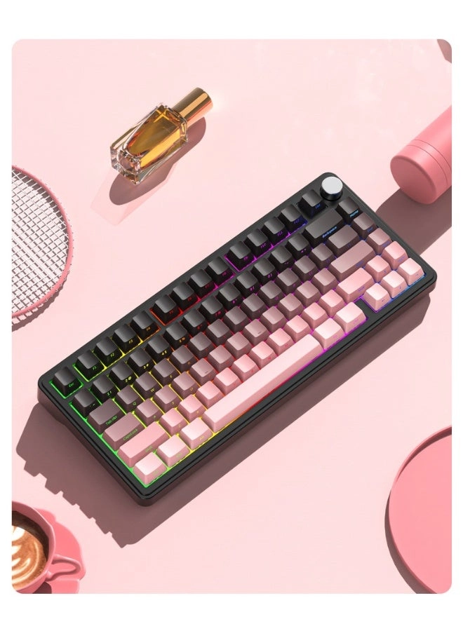 AK820PRO - EN Wired/Wireless